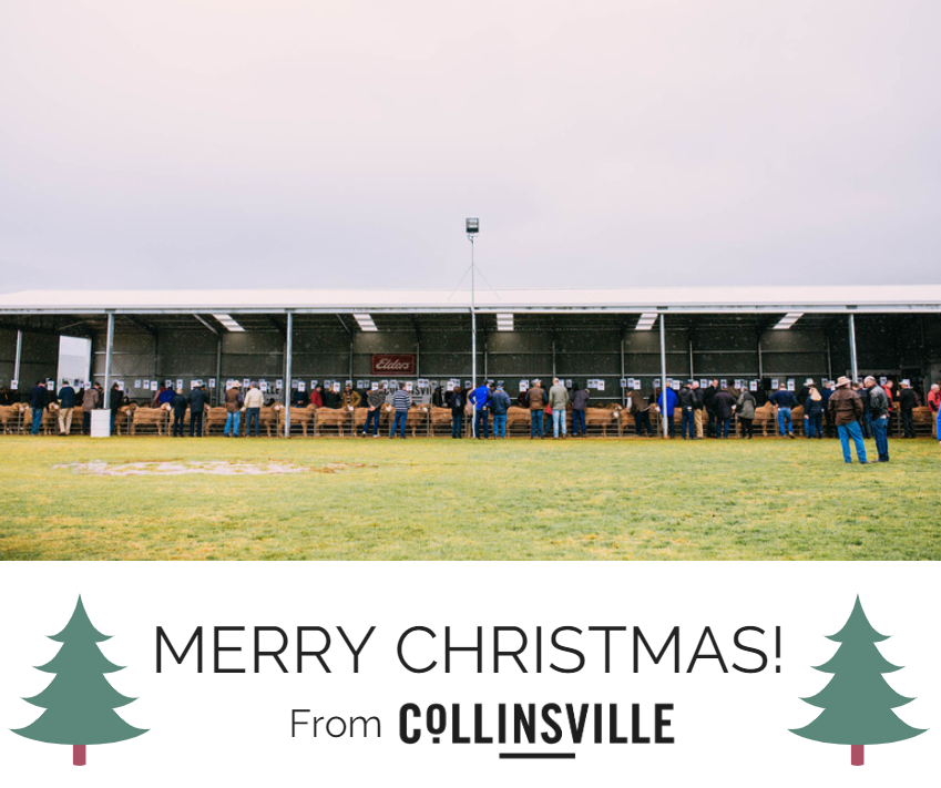 MERRY CHRISTMAS FROM COLLINSVILLE