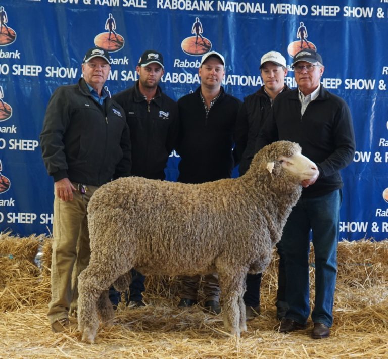 COLLINSVILLE SELLS RAM TO WESTRAY