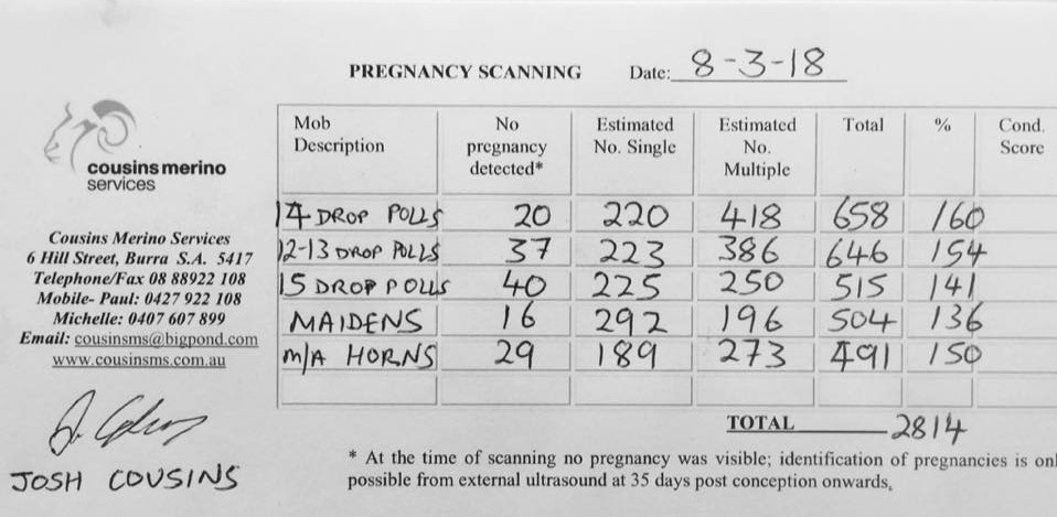 Collinsville Pregnancy Scanning Results