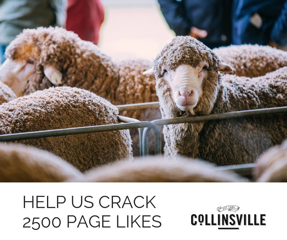 CAN YOU HELP US REACH 2500 FACEBOOK PAGE LIKES?