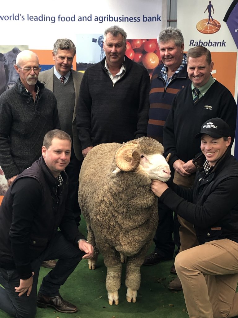 Adelaide Ram Sale 2019 Results