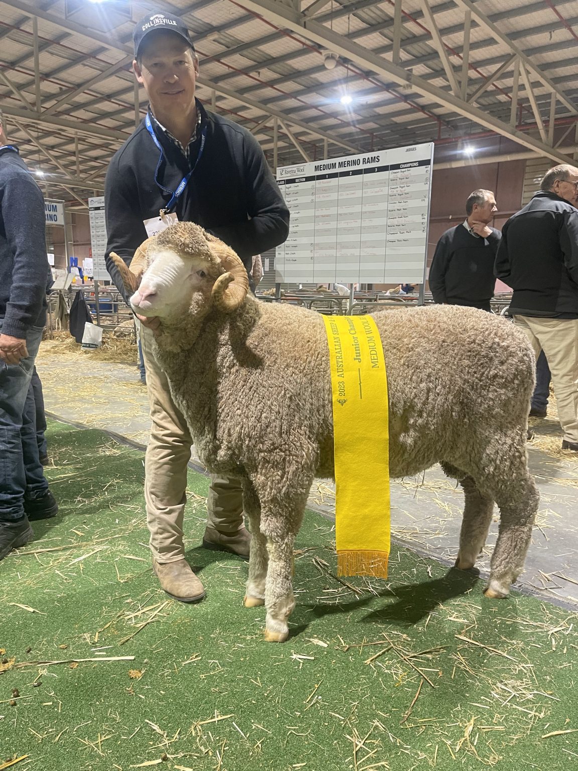 AUSTRALIAN SHEEP & WOOL SHOW RESULTS 2023 Collinsville Stud Merinos