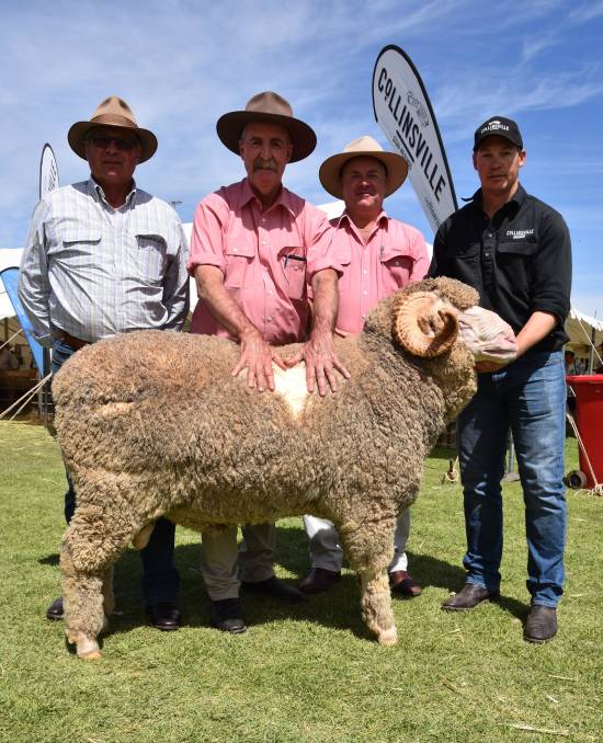 Complete Clearance at Elders SA Stud Merino Ram Auction – 17 March 2020