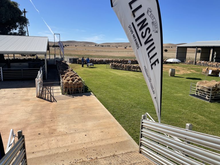 ON PROPERTY DISPLAY 15 MARCH & BURRA STUD MERINO EXPO 16 MARCH