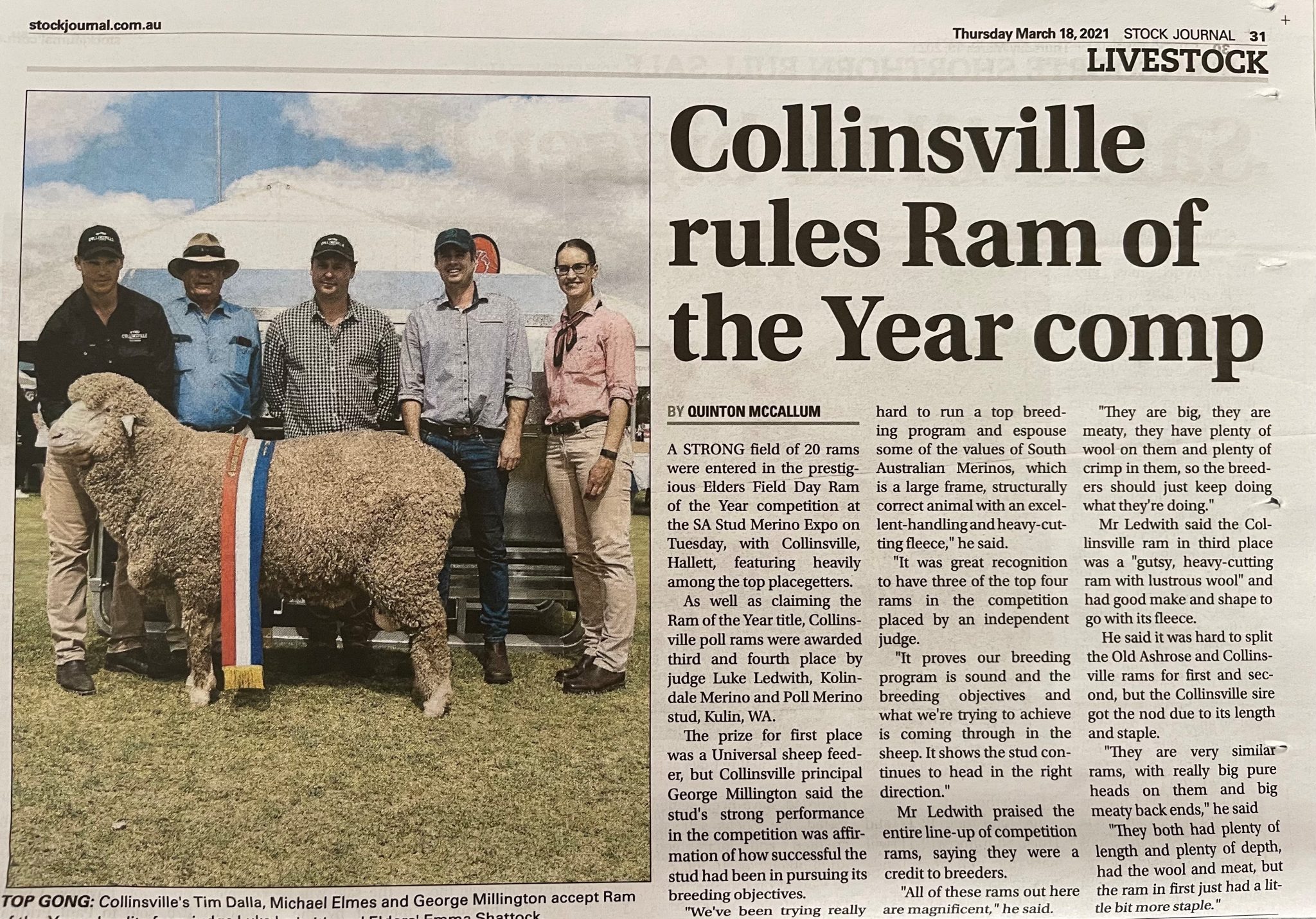 SA Merinos Field Day Burra 2021 Ram of the Year (1st, 3rd & 4th)