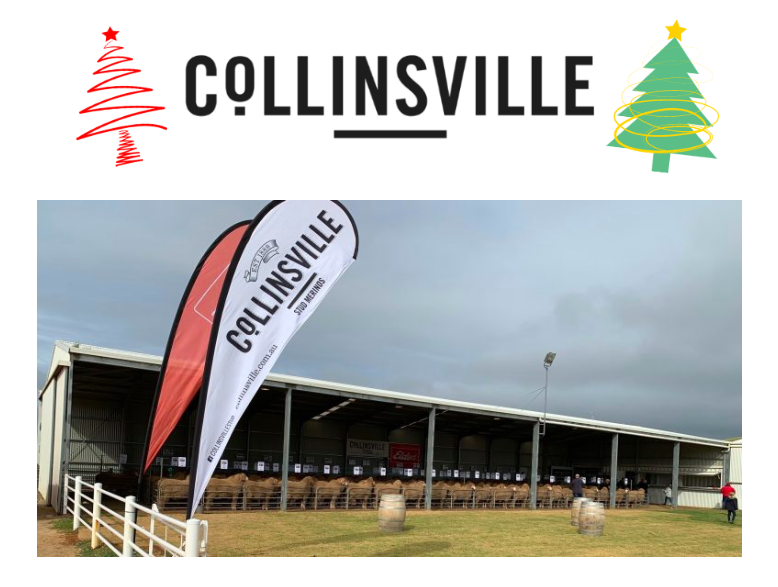 Collinsville End Of Year Wrap Up 2019