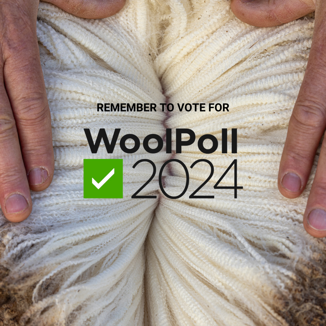 VOTE FOR WOOL POLL