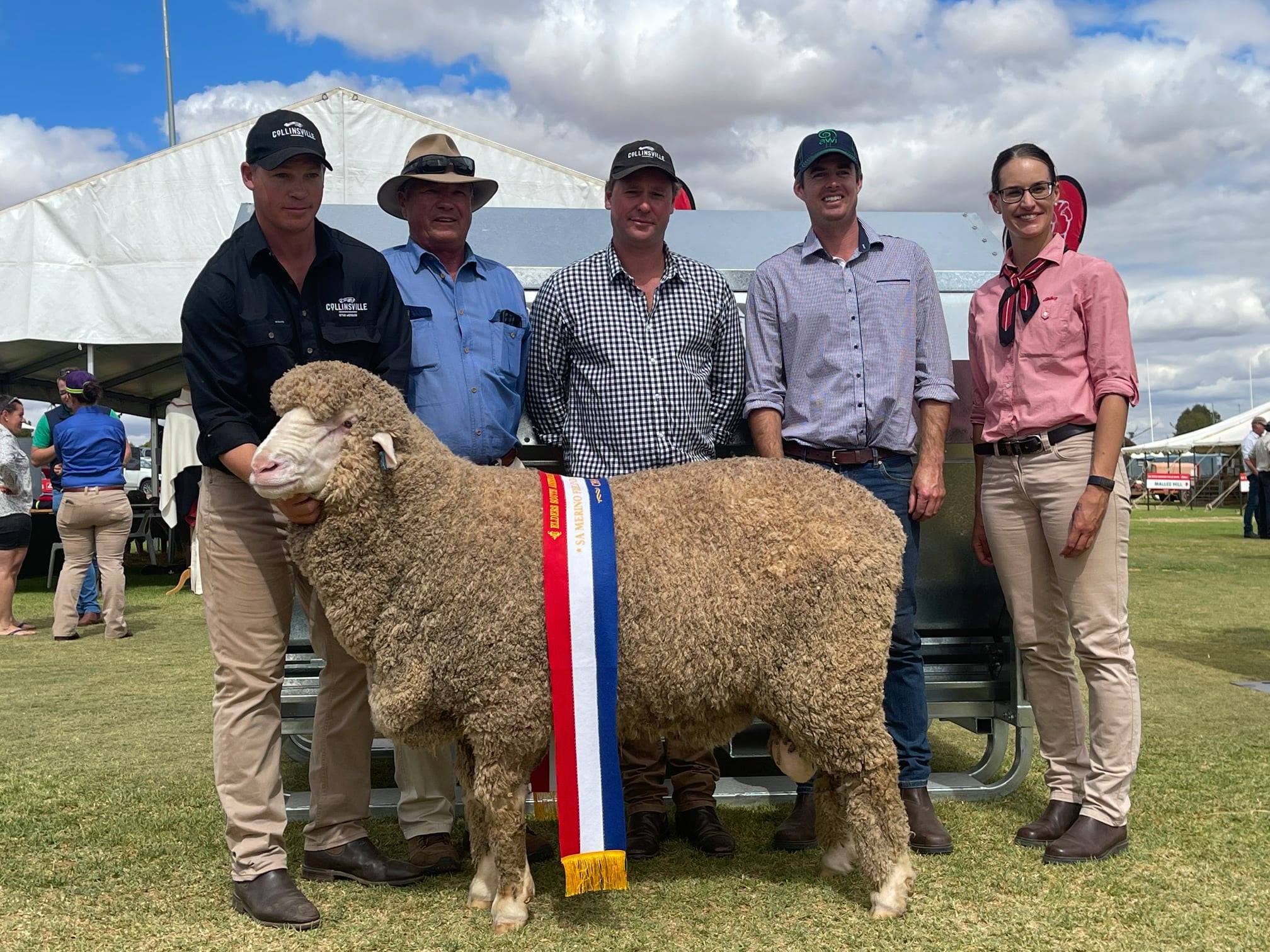 COLLINSVILLE RAMS PLACE 1st, 3rd & 4th IN RAM OF THE YEAR CLASS AT THE SA MERINO FIELD DAYS 2021