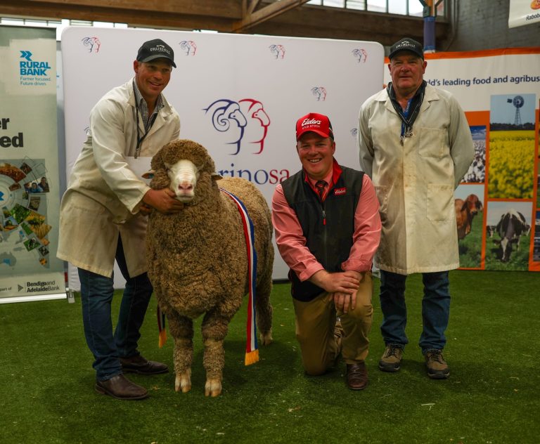 COLLINSVILLE WINS SUPREME CHAMPION AT 2024 ROYAL ADELAIDE SHOW