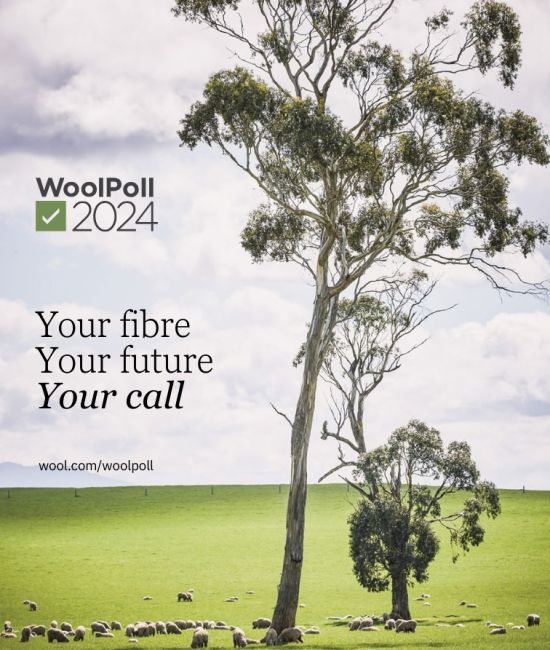 gd4978-2024-woolpoll-vim-final-web.pdf